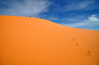 Coral Pink Sanddunes