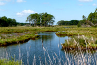 Chincoteague